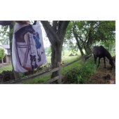 Sie hat so viel Spaß! Zweifarbige Tasse