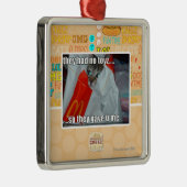 sie hatten kein toyz silbernes ornament (Rechts)