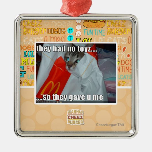 sie hatten kein toyz silbernes ornament (Vorne)