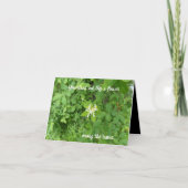 Sie heben die Geburtstagskarte heraus Karte (Vorderseite)