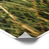 Sie hörten hier auf poster (Ecke)