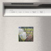 Sie ist bekleidet - Sprichwörter 31:25 Florin Magnet (In Situ (Geschirrspüler))