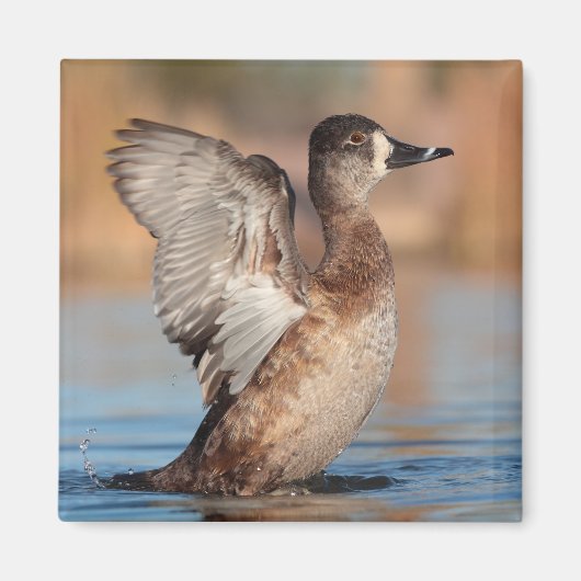 Sie ist eine Flapperin Magnet (Vorne)