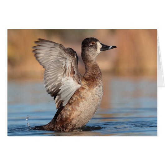 Sie ist Flapper (Vorderseite (Horizontal))