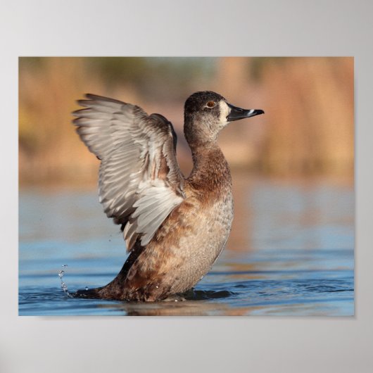 Sie ist Flapper Poster (Vorne)