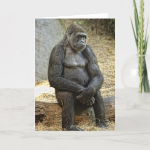 Sie kennen Sie Liebe ich Karte