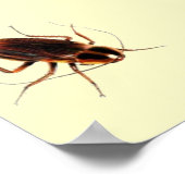 SIE KOMMEN AUS DEM DRAIN - Beängstigendes Kakerlak Poster (Ecke)