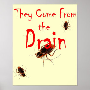SIE KOMMEN AUS DEM DRAIN - Beängstigendes Kakerlak Poster