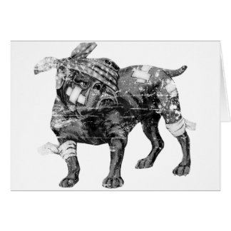 Sie können immer zurück beißen