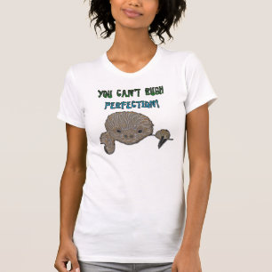 Sie können Perfektions-Baby-Trägheit nicht hetze T-Shirt