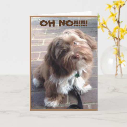 *SIE KÖNNEN SICH NICHT BEWEGEN, ICH WERDE "FEHLEN  KARTE (Gelbe Blume)