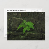 Sie können überleben... postkarte (Vorne/Hinten)