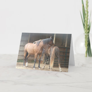 Sie kratzen mir den Rücken......... Dankeskarte