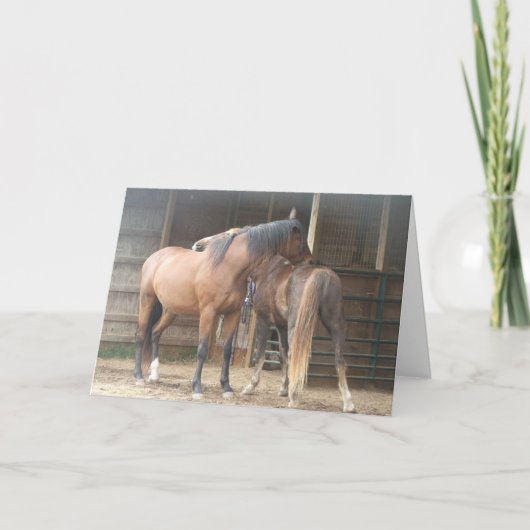 Sie kratzen mir den Rücken......... Dankeskarte (Vorderseite)