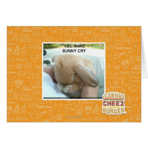 Sie lassen Häschen schreien