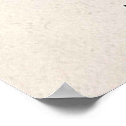 Sie leben poster (Ecke)