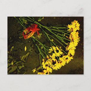 Sie Liebe mich NICHT! Postkarte