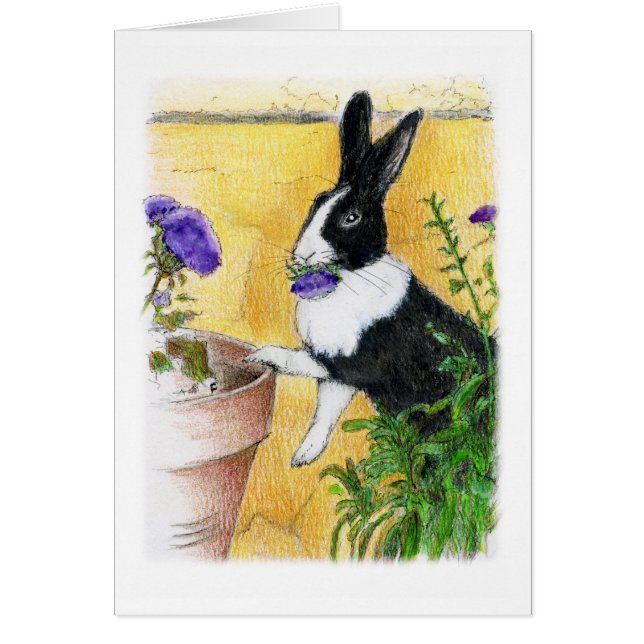 SIE LIEBEN ICH (Vorne)