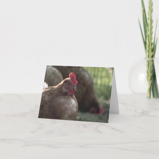 Sie Lookin an mir? Mitteilungskarten (Vorderseite)