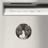 Sie Magnet (In Situ (Geschirrspüler))