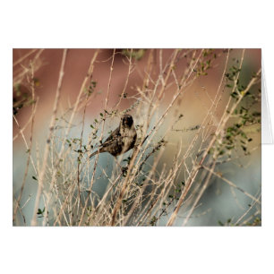 Sie mich betrachtend?