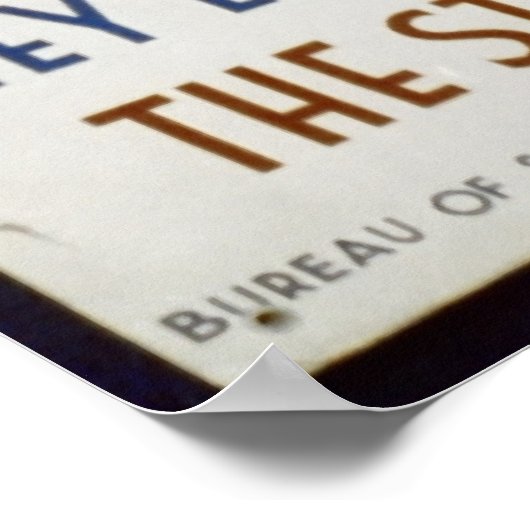 Sie mögen den Winter im New Yorker Staat Poster (Ecke)