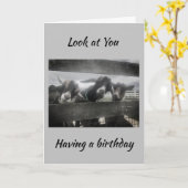 SIE MÜSSEN "KIDDING" SEIN, DASS SIE NICHT "21" SEI KARTE (Gelbe Blume)