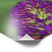 Sie nennen mich Clear Wing Fotodruck (Ecke)