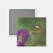 Sie nennen mich "Klar" Magnet (Vorderseite/Rückseite)