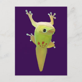 Sie nennen mich klebrige Zehen! DAY GECKO Postkarte