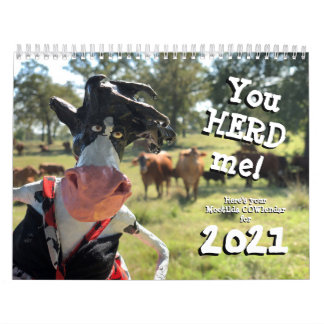 Sie nHEIFER finden ein besseres COWlendar als Kalender