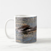 Sie Otter sind in den Bildern Kaffeetasse (Links)