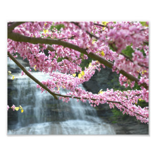Sie-qua-GA Wasserfall 10"" Druck des Foto-x8