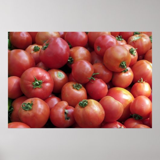 Sie sagen Tomato Poster (Vorne)