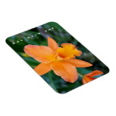 Sie sagte ja Verlobung Magnet (Rechte Seite)