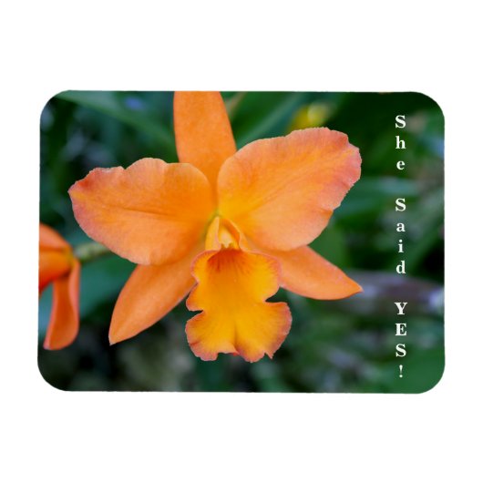 Sie sagte ja Verlobung Magnet (Horizontal)