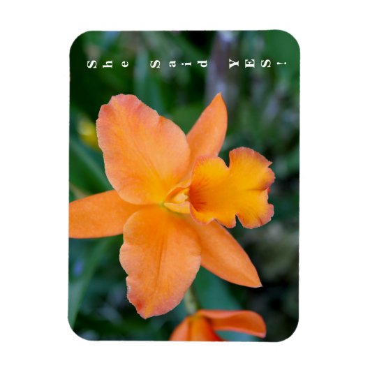 Sie sagte ja Verlobung Magnet (Vertikal)