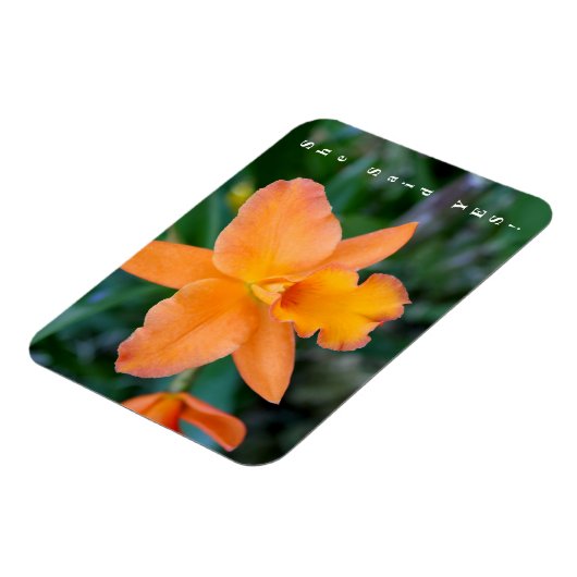 Sie sagte ja Verlobung Magnet (Linke Seite)