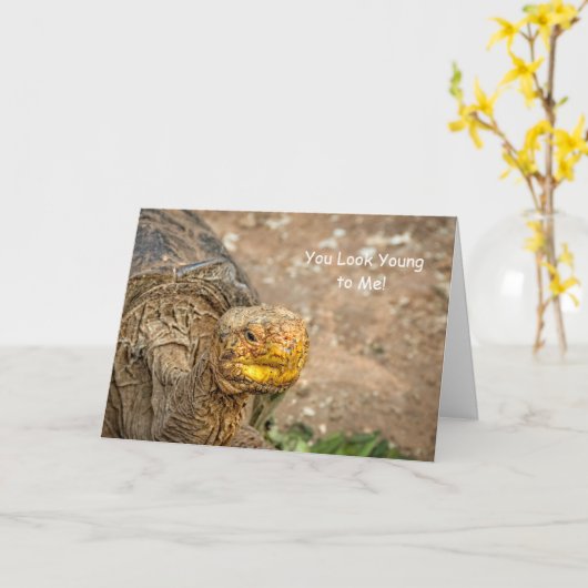 Sie schauen zu mir jung! karte (Gelbe Blume)