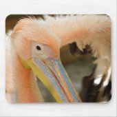 Sie sehen Pelican Mousepad (Vorne)