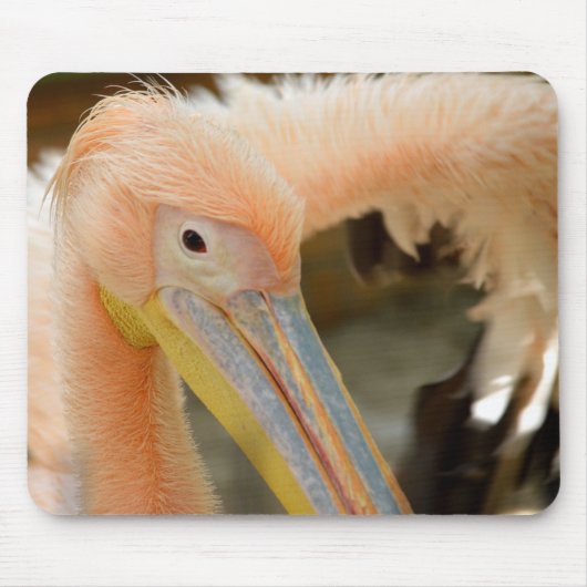 Sie sehen Pelican Mousepad (Vorne)