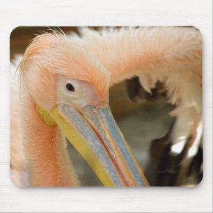 Sie sehen Pelican Mousepad