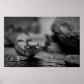 Sie sehen poster (Vorne)