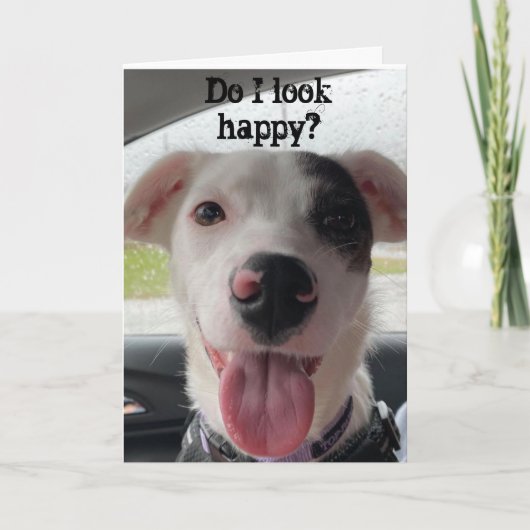 SIE SIND **60*** MACHT MICH SELBSTVERSTÄNDLICH GLÜ KARTE (Vorderseite)