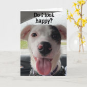 SIE SIND **60*** MACHT MICH SELBSTVERSTÄNDLICH GLÜ KARTE (Gelbe Blume)