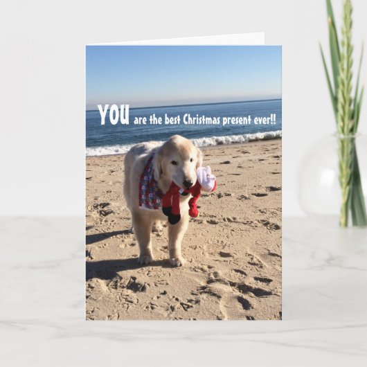 Sie sind das beste Weihnachtsgeschenk aller Zeiten Karte (Vorderseite)
