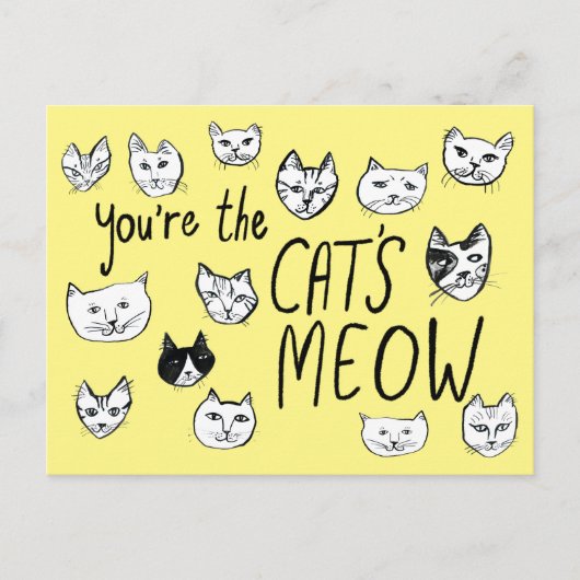 SIE SIND DIE Niedlichen Kätzchen, DIE DIE KATZE HA Postkarte (Vorderseite)