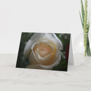 SIE SIND DIE ROSE MEINES LEBENS KARTE