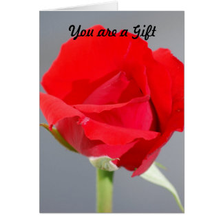 Sie sind ein Geschenk