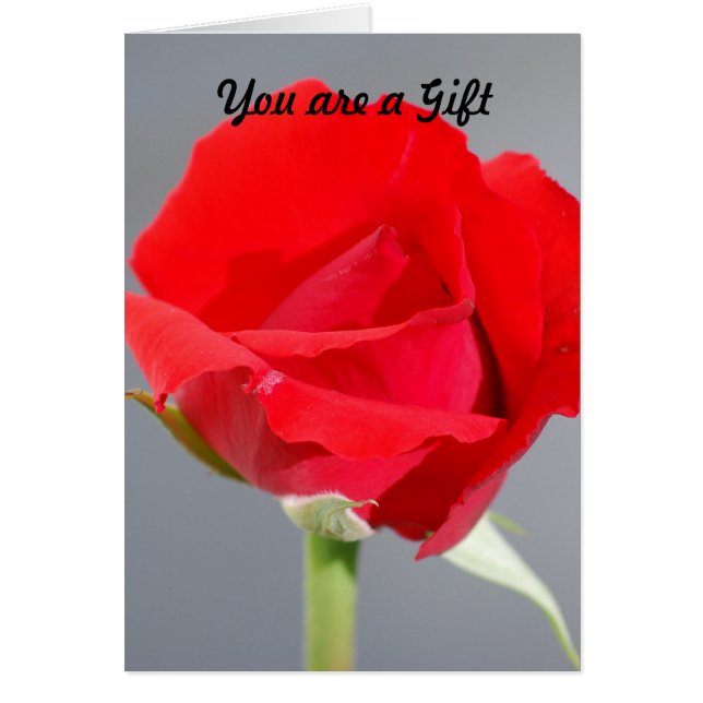 Sie sind ein Geschenk (Vorne)